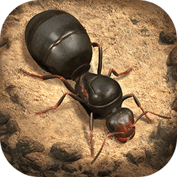 小小蚁国国际(The Ants)