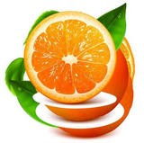 97橙子视频 - 安卓版