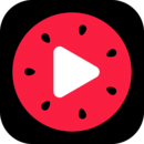 西瓜视频3.7.2版 - 安卓版