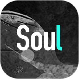 soul单机版 - 安卓版
